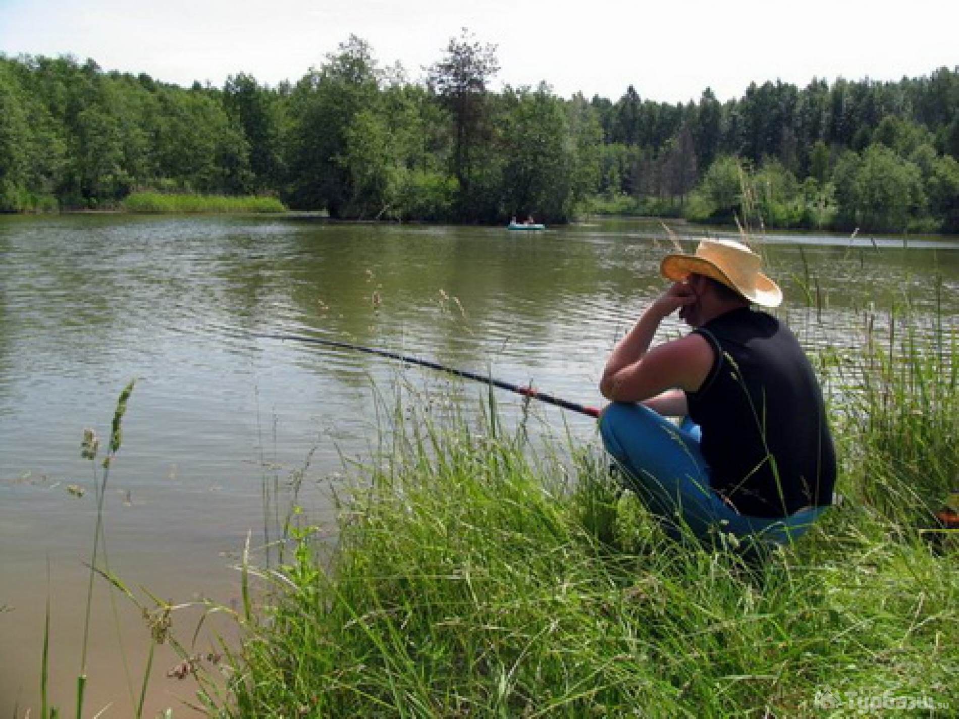 Лучшая рыбалка на реке