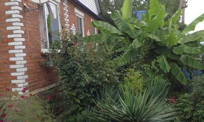 Гостевой дом Кедр