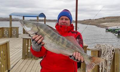 Туристический комплекс world fish село селитренное. Смотреть фото Туристический комплекс world fish село селитренное. Смотреть картинку Туристический комплекс world fish село селитренное. Картинка про Туристический комплекс world fish село селитренное. Фото Туристический комплекс world fish село селитренное