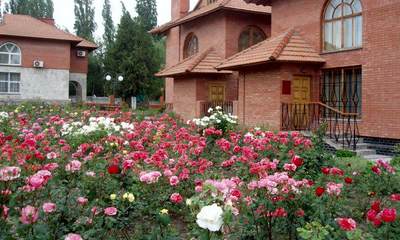 Пансионат Феодосия