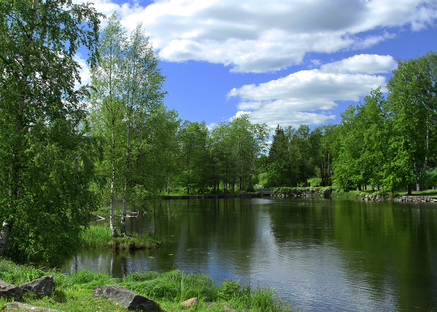 Мичуринское озеро Ленинградская область: информация о рыбалке, местонахождение