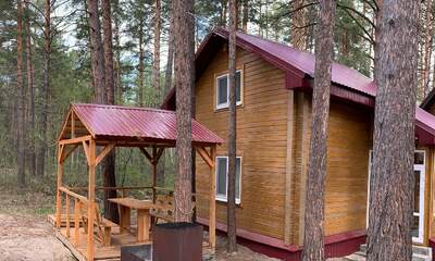 Турбаза Дом в лесу