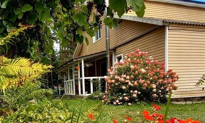 Гостевой дом Дом у сосен