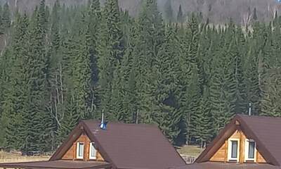 База отдыха Парк Зилим Шале