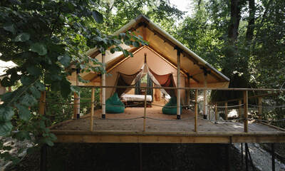 Глэмпинг LAVICON Древо