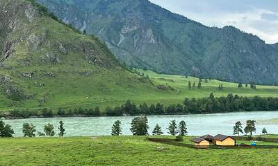 База отдыха Терраса Алтая