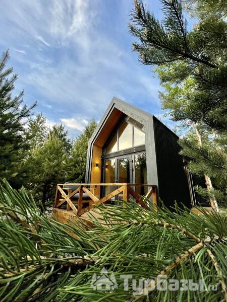 Зеленый дом "Лес"