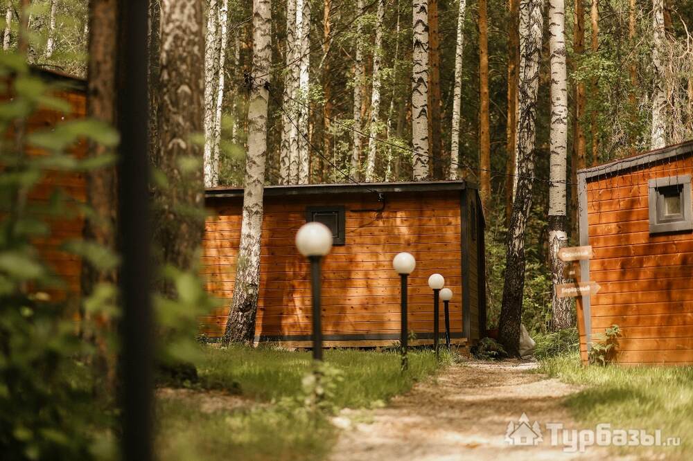 Глэмпинг «Лесотерапия»