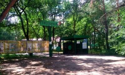 База отдыха Лесовичок