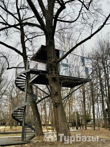 Дом на дереве