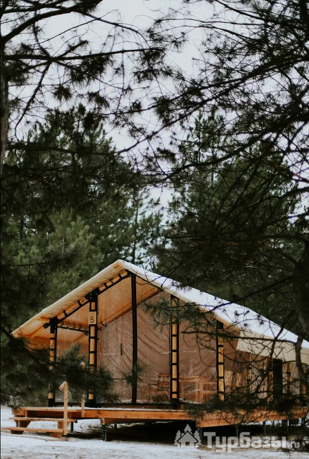 Тент-хаус в сосновом лесу