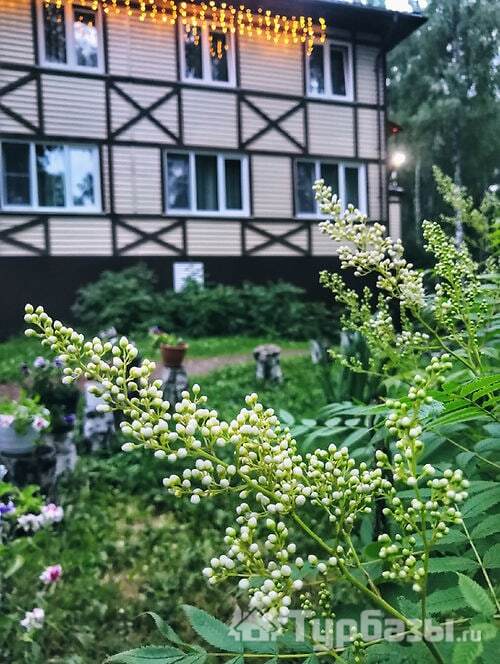 Номер эконом