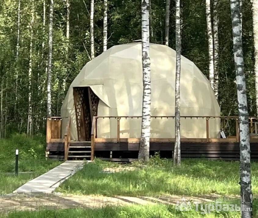 Сфера (без животных)