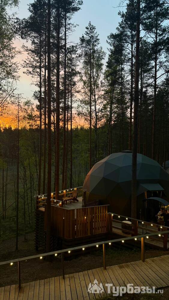 Сфера "Секрет" 18+