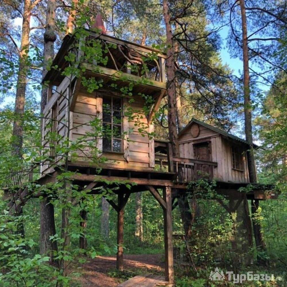 Домик на дереве