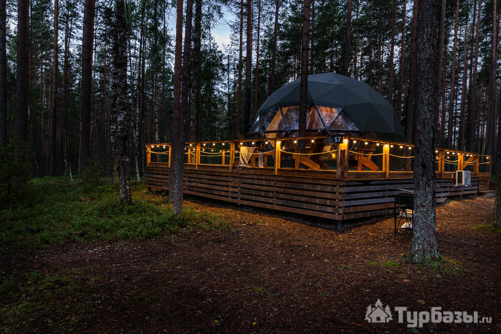 Сфера лесная