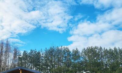 База отдыха Тишь да камыш