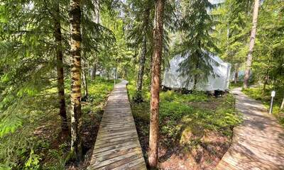 Глэмпинг Vuoksa Camp