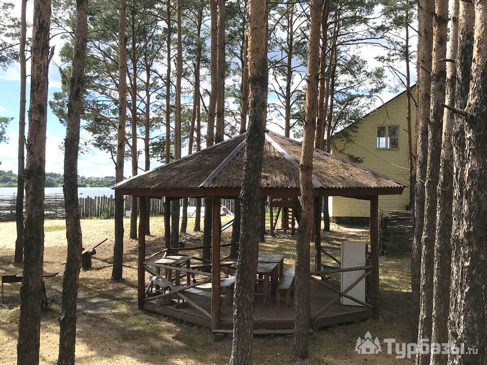 Шапито