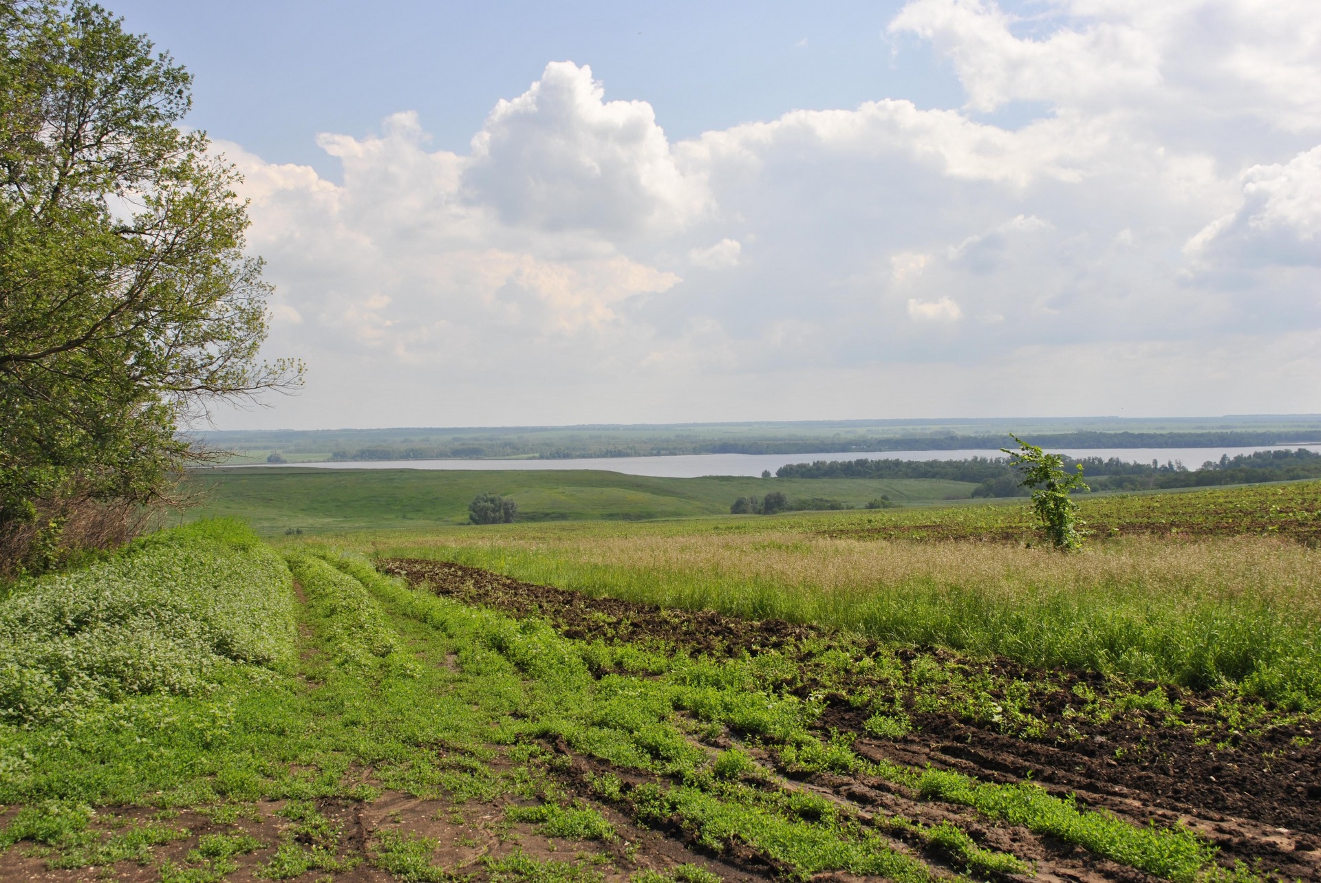 Черниговская самарская область