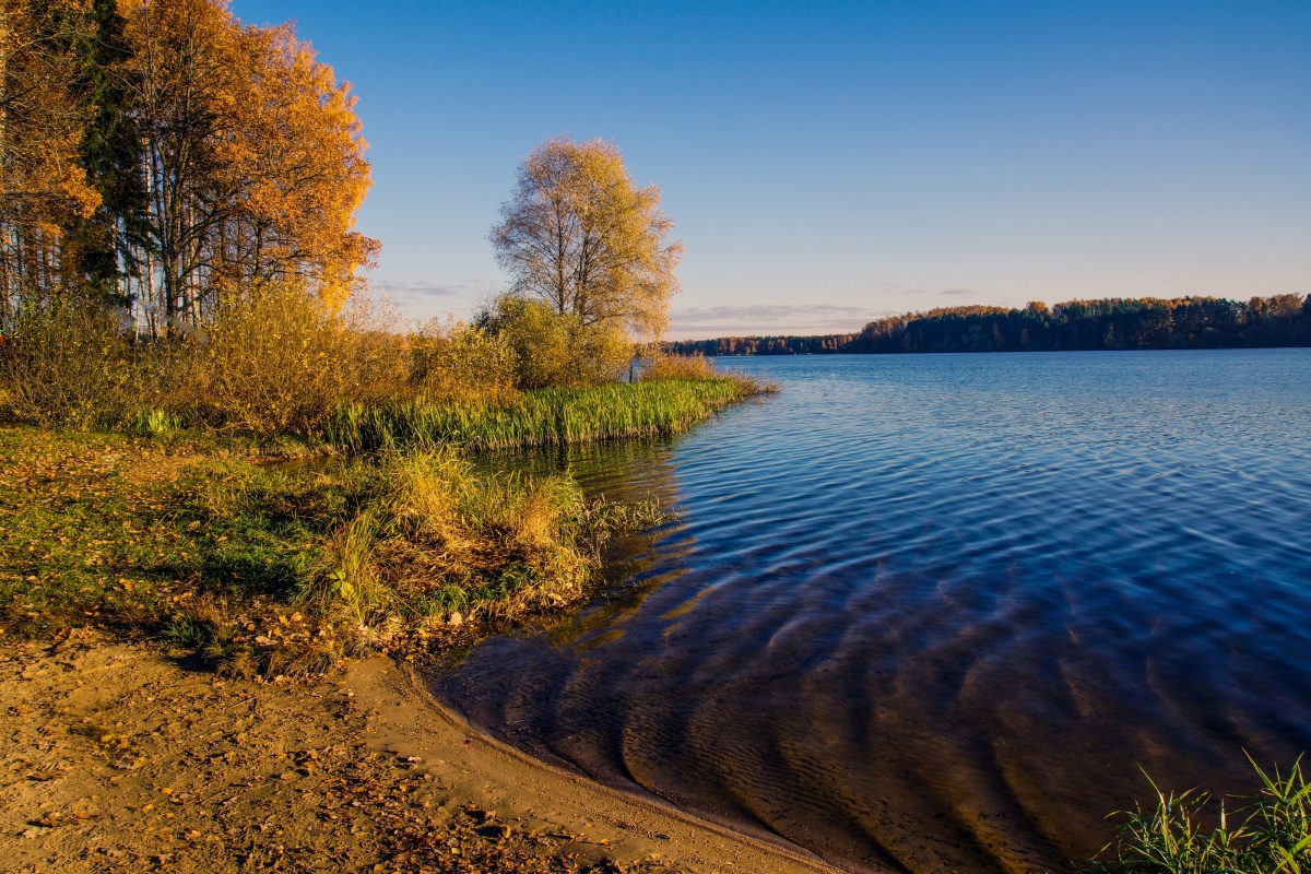 Истринское водохранилище фото