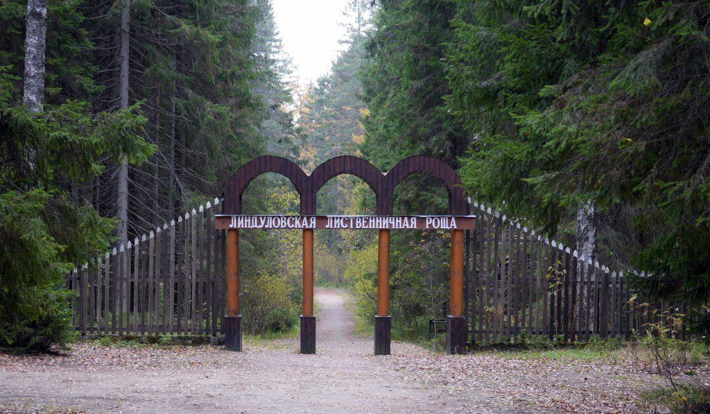 Заповедники санкт петербурга и ленинградской области презентация
