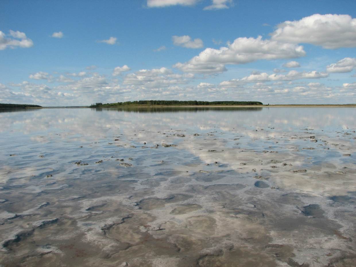 Базы отдыха Курганской области, турбазы Кургана и области с актуальными  ценами на 2024 год.